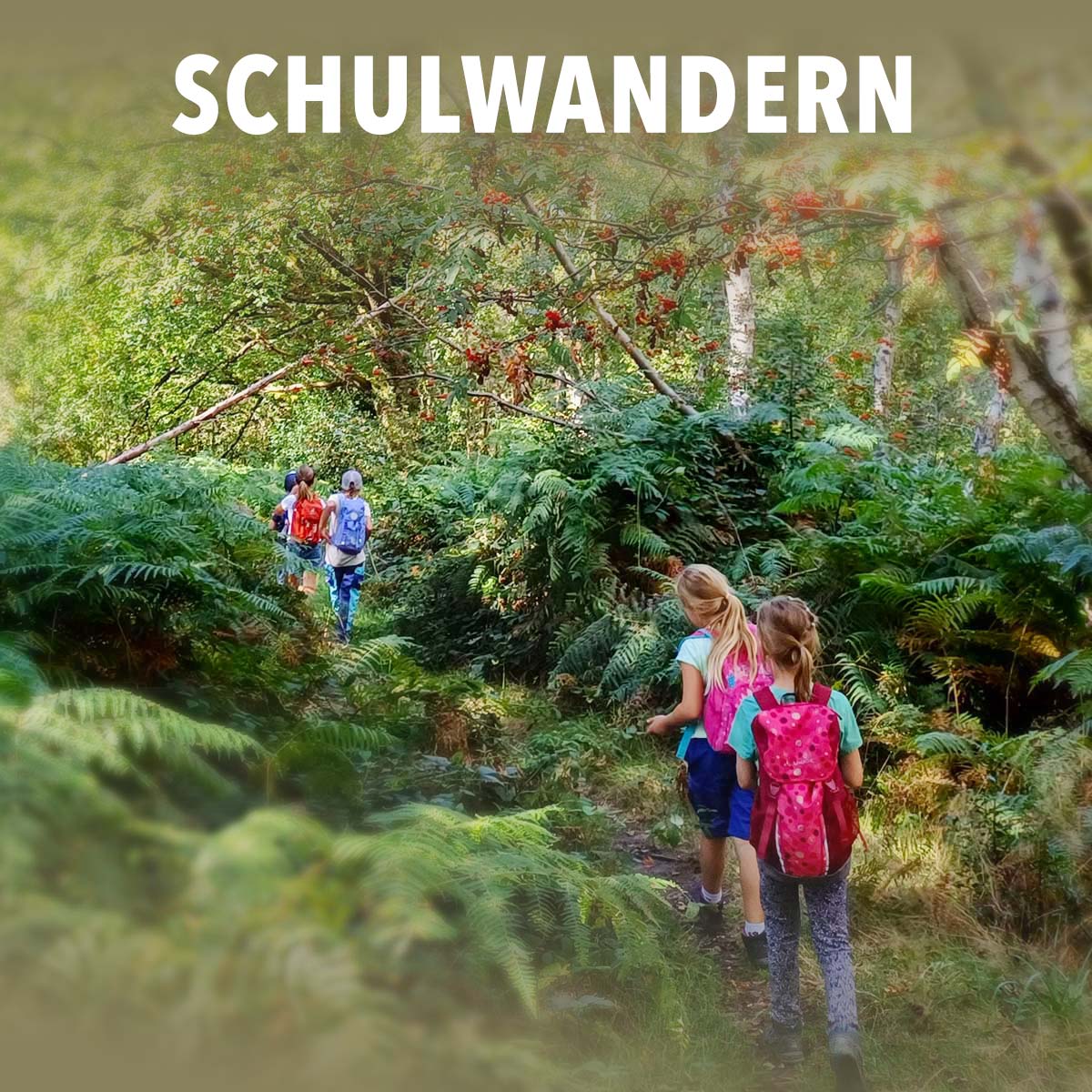 Schulwandern