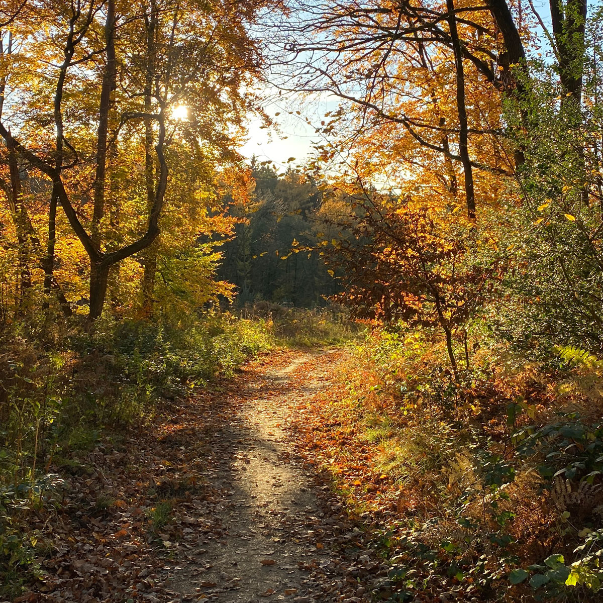 Jugendwandergruppe